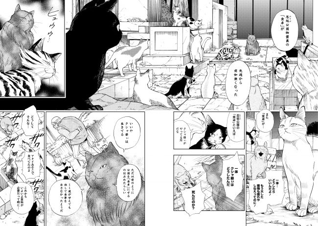 号泣する猫マンガ 完結 Webで 泣ける と大絶賛 ゴジュッセンチの一生 第3巻 6月14日 金 発売 Kadokawa