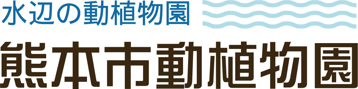 熊本市動植物園 けものフレンズ コラボ開催決定 トークショーやキンシコウ寄贈看板も 株式会社kadokawaのプレスリリース