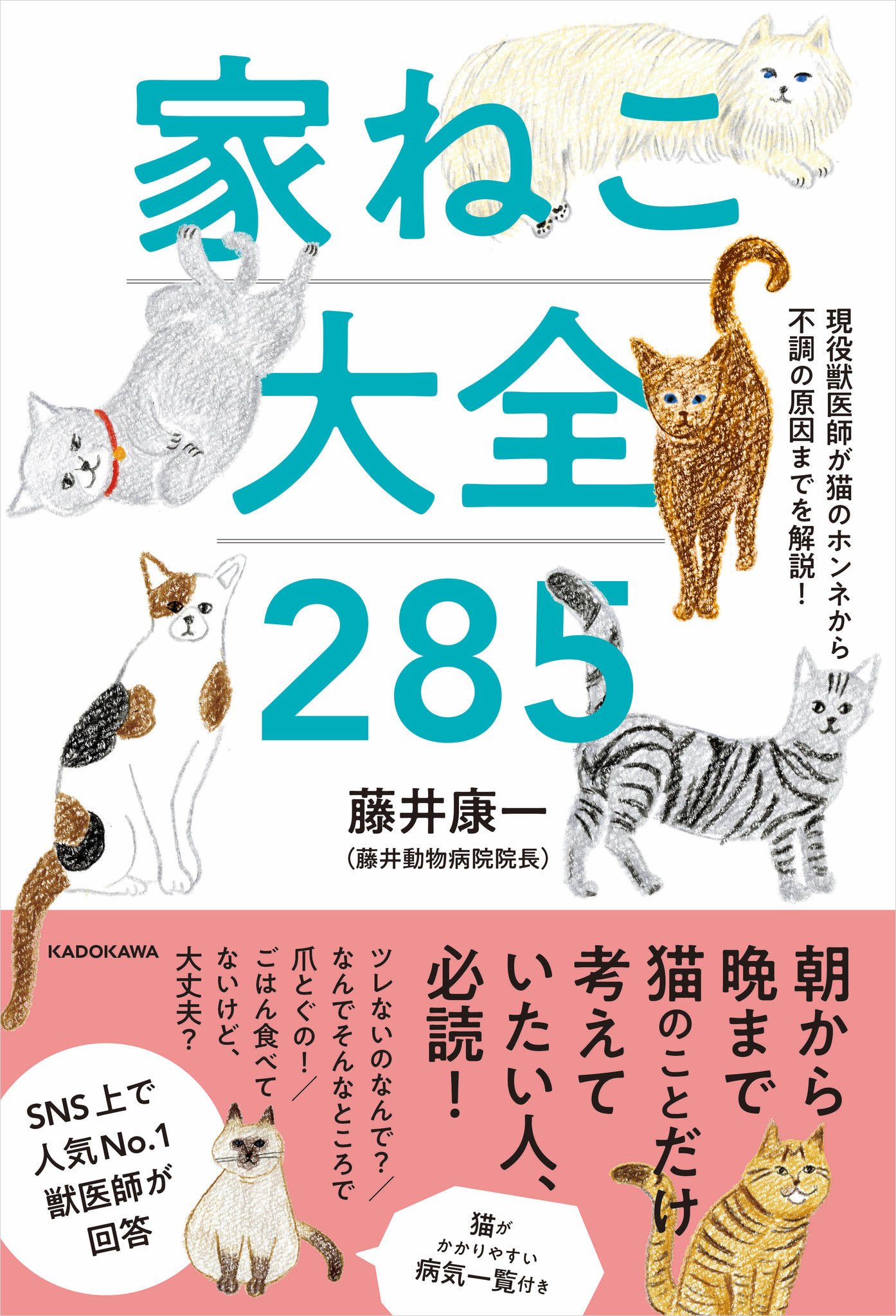 Sns上で人気no 1獣医師 初の著書 猫のすべてがわかる決定版 現役獣医師が猫のホンネから不調の原因までを解説 家ねこ大全 285 株式会社kadokawaのプレスリリース