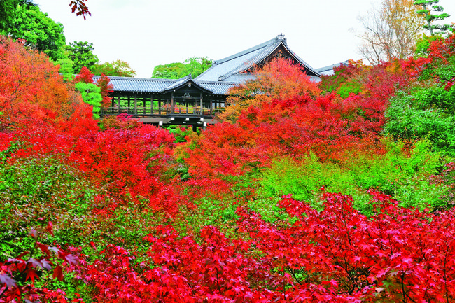橋が紅葉に浮かぶような「東福寺」（京都市）の絶景