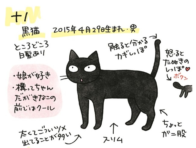 猫好きにはたまらない ちょっとどんくさいナノと おてんばきなこの日常にほっこりするコミックエッセイ 黒猫ナノとキジシロ猫 きなこ が12月10日発売 株式会社kadokawaのプレスリリース