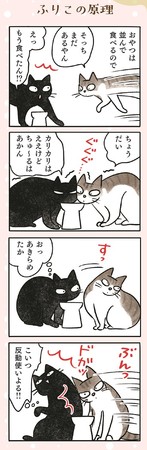 猫好きにはたまらない ちょっとどんくさいナノと おてんばきなこの日常にほっこりするコミックエッセイ 黒猫ナノとキジシロ猫きなこ が12月10日発売 Cnet Japan
