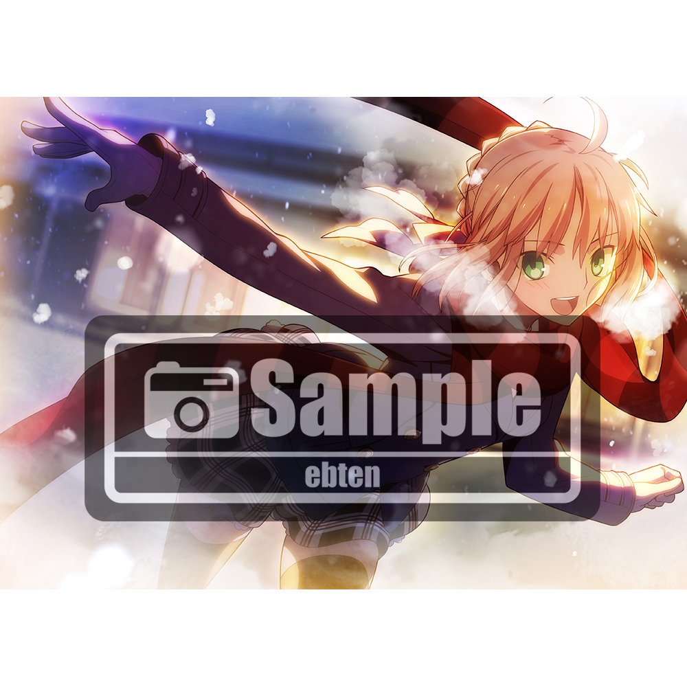 【Fate/Stay night】武内崇イラストF6キャンパスアート(セイバー)