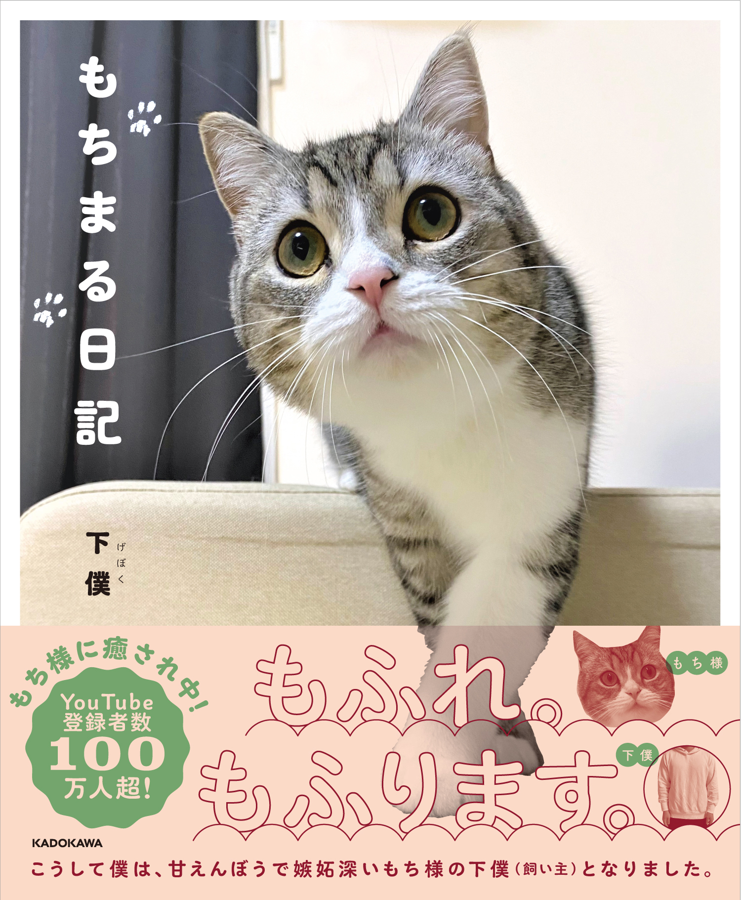 猫の“もち様”フォトブック『もちまる日記』が発売1週間で重版決定 
