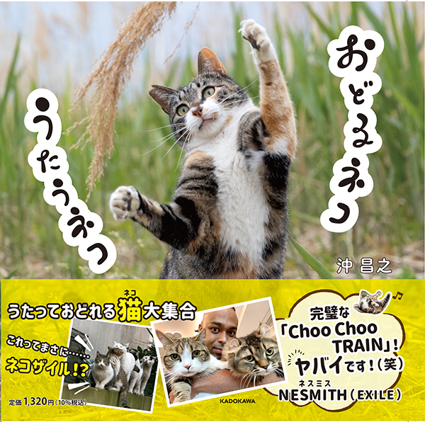 ねむるねこページ 絵本「ねこねむる」 | ondo