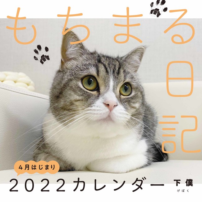 もちまる日記 から 待望の22壁掛けカレンダーが予約開始 Kadokawa初 自宅にもち様がいるような写真が撮れる Ar写真特典付き 株式会社kadokawaのプレスリリース