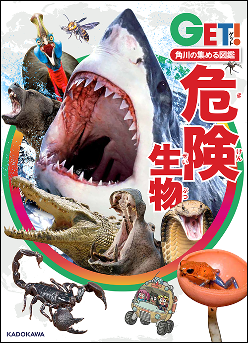 サメの写真集と正体専門書英文（６冊まとめ売り） ヨドバシ.com - 世界のサメ大全―サメ愛好家が全身全霊をささげて