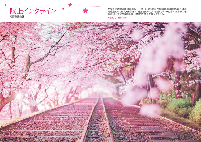 美しく鮮烈な写真集『極彩色の京都 四季の名所めぐり』が、超絶美麗と 