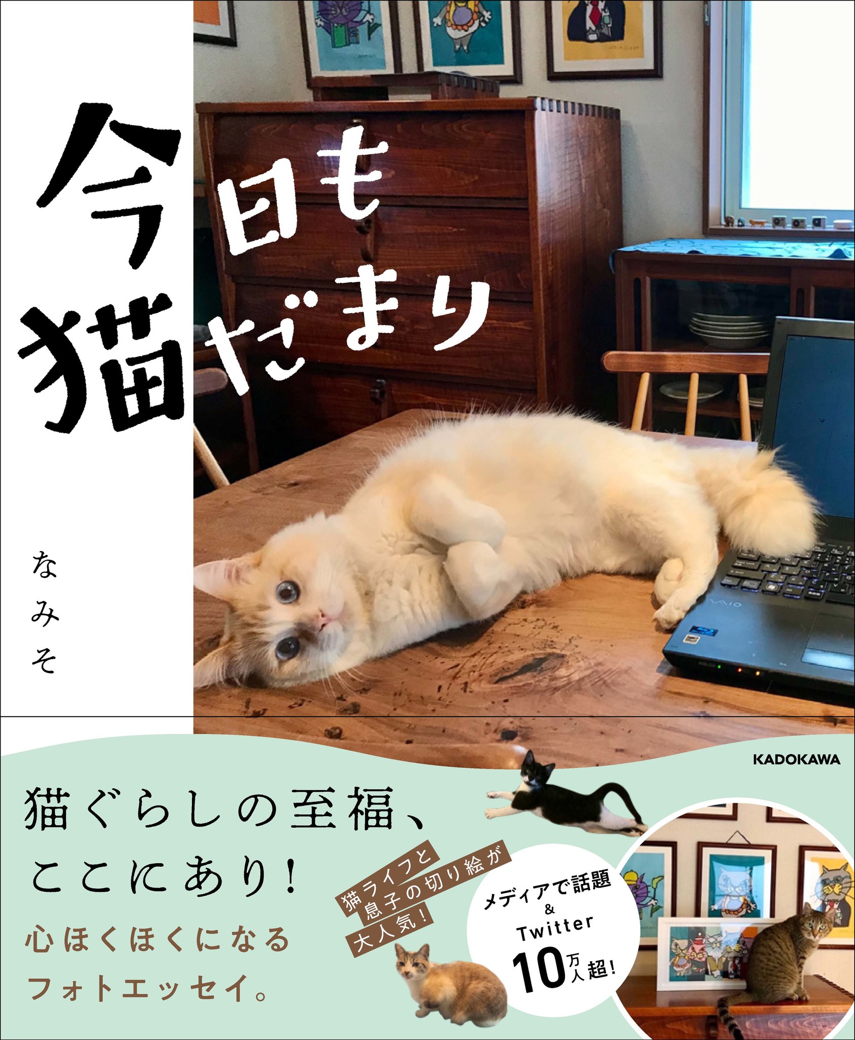 猫切り絵がテレビやSNSで話題沸騰！ なみそ家の猫ぐらしフォトエッセイ