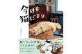 猫切り絵がテレビやSNSで話題沸騰！　なみそ家の猫ぐらしフォトエッセイ『今日も猫だまり』発売