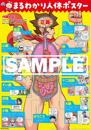 まんがを読むだけで理科に興味がわいてくる！ 「まるわかり人体