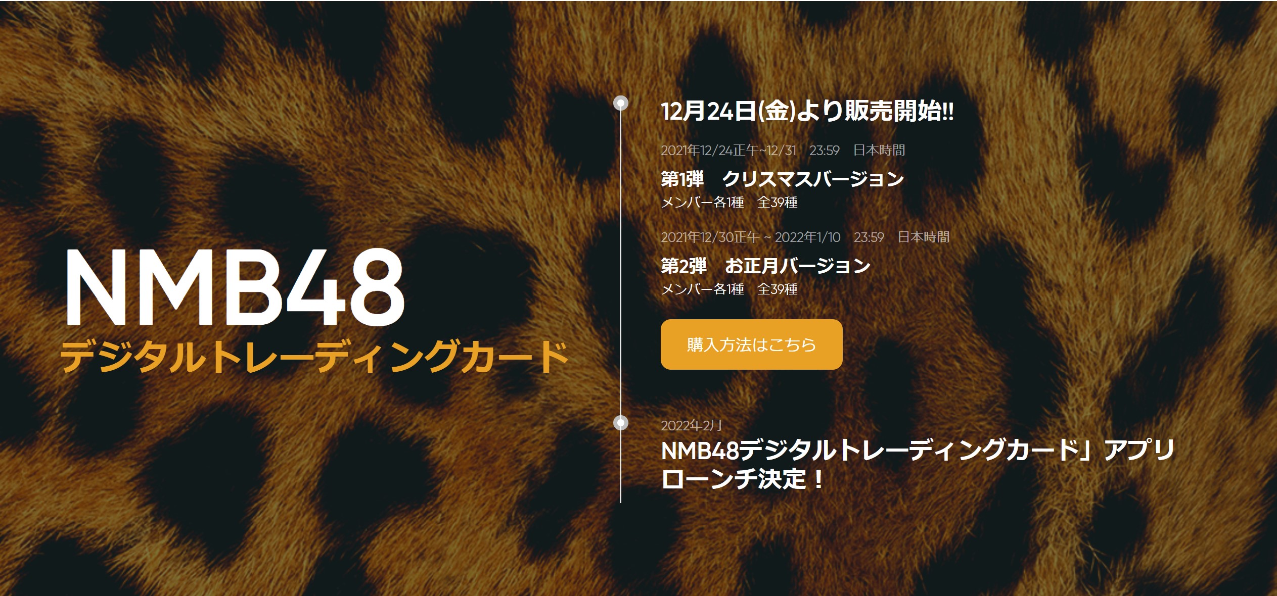 NFT 『NMB48デジタルトレーディングカード』発売｜Xクリエーション株式 ...