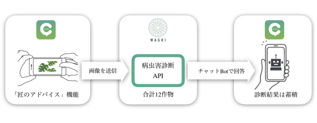 病虫害診断の手順