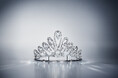 Swarovski、2025年ウィーン・オペラ座舞踏会で輝くティアラを発表