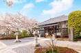 【羽生市】桜につつまれた樹木葬が浄林寺に誕生。10/12より受付開始