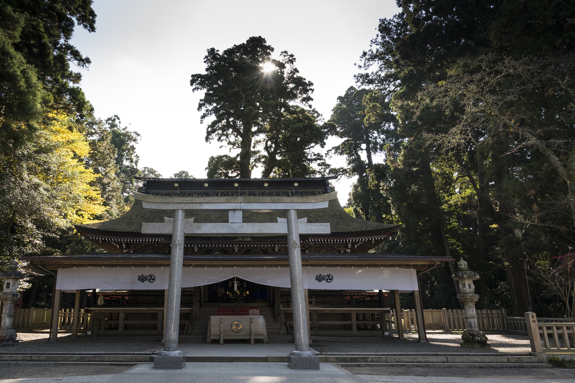 新型コロナ禍で 新しい参拝様式を 鹿島神宮の初詣 新年は 三十三が日 で 鹿島神宮のプレスリリース