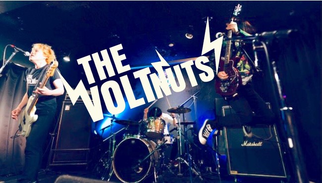 THE VOLTNUTS（アーティスト写真）