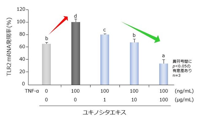 TNF-α誘導によるTLR2発現上昇抑制作用（遺伝子）