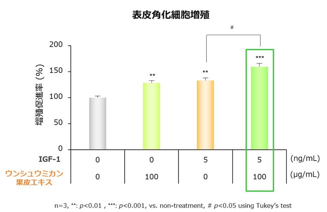 図4 IGF-1とウンシュウミカン果皮エキスの併用による表皮角化細胞増殖促進作用