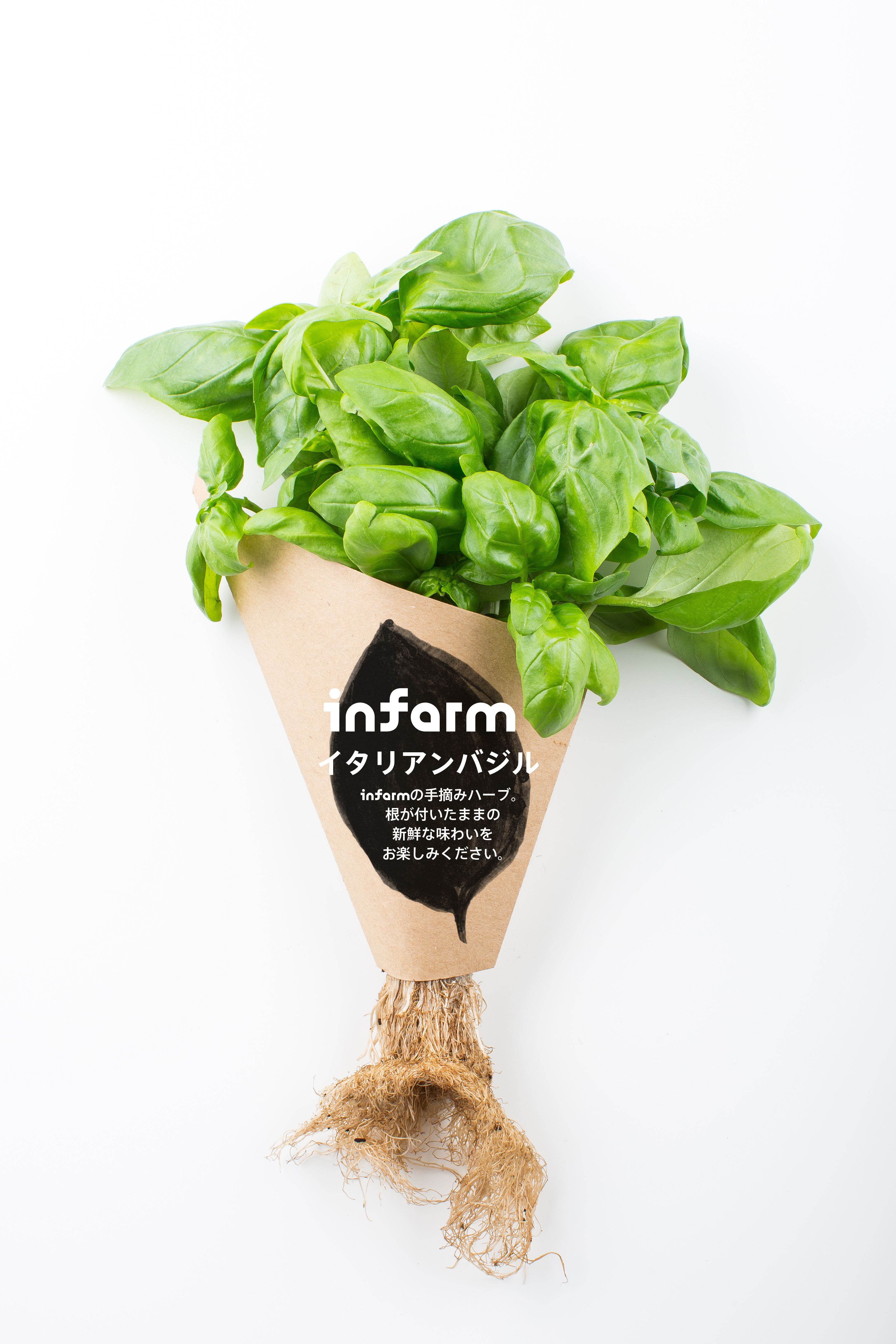 都市型農場野菜 Infarm インファーム 新たに紀ノ国屋国立店での販売が決定 2種のサラダブースターとイタリアンバジルを展開 Infarm Indoor Urban Farming Japan 株式会社のプレスリリース