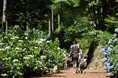2025夏の東京国立公園エリアで起こる“都会を忘れる、五感の冒険”