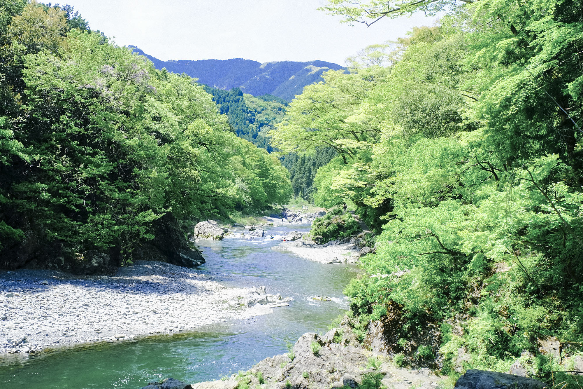 ◇日本の名勝 庭園1/庭園2/自然1/自然2 ４冊揃い 講談社 即決送料無料