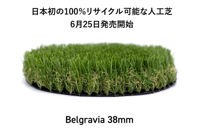 Belgravia (38mm)・人工芝