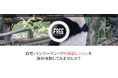 【最大9,900円分のオンライン中国語レッスンが無料で試せる】オンラインレッスン無料体験モニター募集!2024年10月23日まで