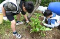 『ミツウロコの小径』清掃活動を実施