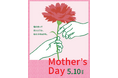 ハンズの母の日ギフト2026