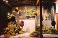 新年を彩る松と金魚の和モダン空間「松柏展」が奈良金魚ミュージアムで開催!