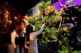 お台場で約4年愛された『UWS AQUARIUM GA☆KYO』2026年8月末をもって閉幕。レインボーブリッジを望む新たな演出が加わり、夜景とアートが溶け合う唯一無二の空間がフィナーレを飾ります。