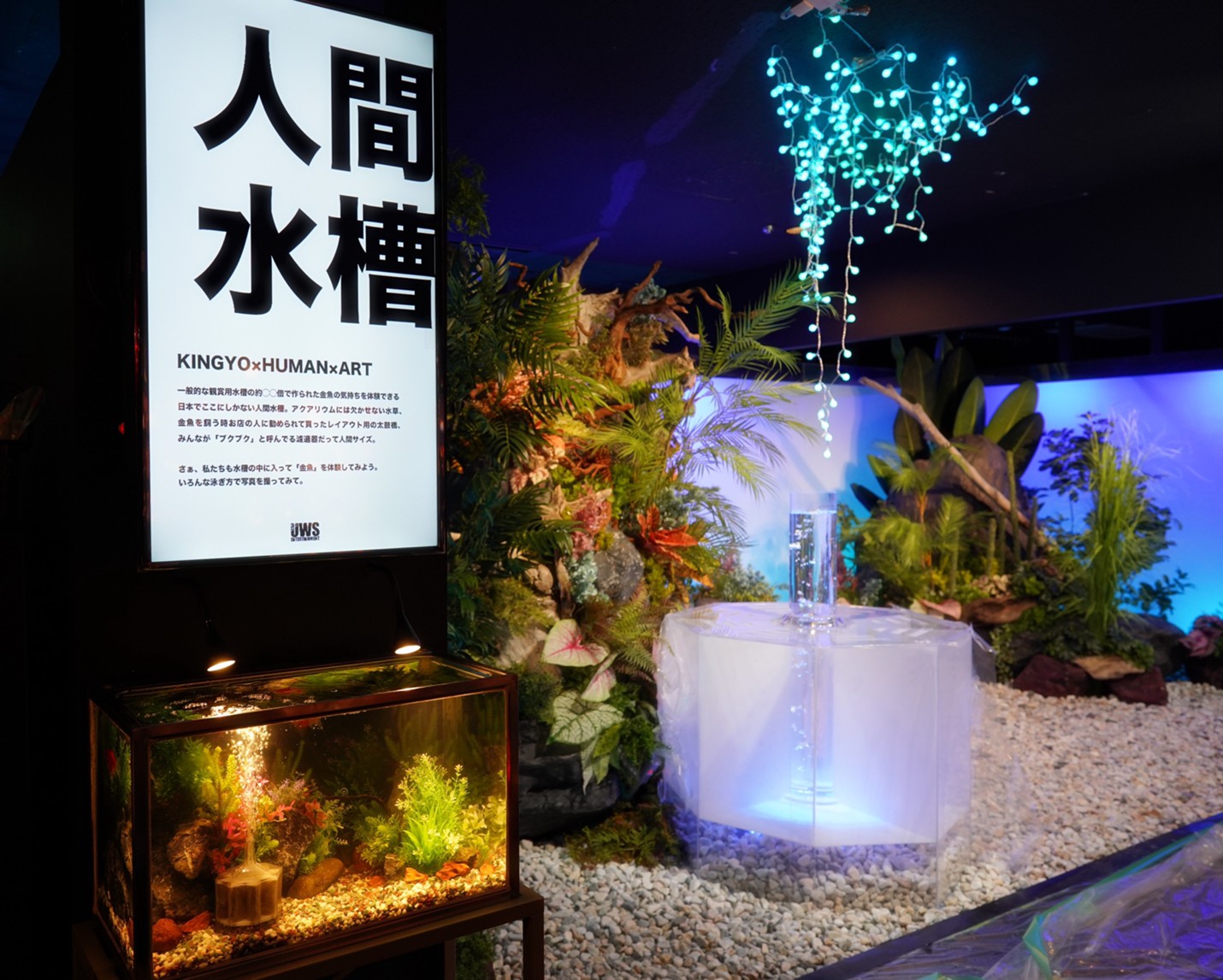 金魚のテーマパーク 奈良県奈良市 金魚ミュージアム が 学び 体験 地方創生 をコンセプトとした4つの新エリアをオープン 株式会社uws Entertainmentのプレスリリース