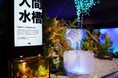 金魚のテーマパーク（奈良県奈良市）「金魚ミュージアム」が「学び」「体験」「地方創生」をコンセプトとした4つの新エリアをオープン！