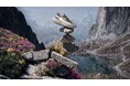 ドイツ生まれ新進気鋭のスニーカーブランド「FLOWERS FOR SOCIETY」とのコラボ・シューズを発表。最高のアーバニズムとアウトドアの高機能が融合した1足。