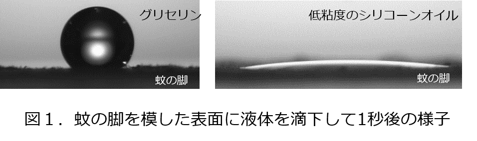 蚊の嫌う肌表面をつくり 蚊に刺されることを防ぐ技術を開発 花王株式会社広報部のプレスリリース