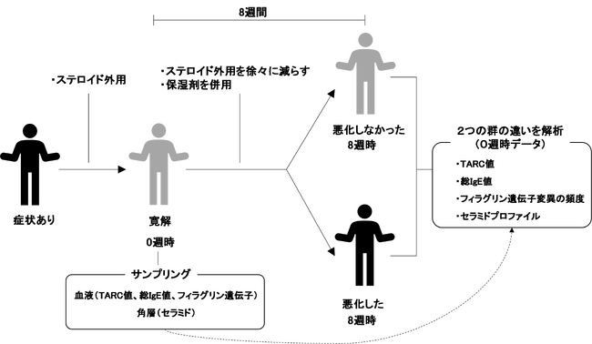 図1　試験デザイン