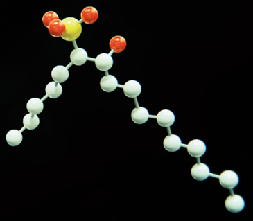 バイオIOS　分子構造モデル