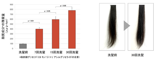 図2 洗髪による脂質成分の残留量の変化　　　　　　　　　　　　　　　　　図3　洗髪前後の毛束の外観比較