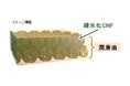 日本化学会第73回「化学技術賞」を受賞