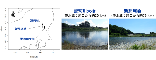 図2. 調査を実施した場所 (栃木県・茨城県)