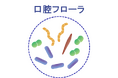 高齢でも健康な口腔を保ち続ける人は、硝酸還元菌の多い健康型の口腔フローラを保有していることを発見