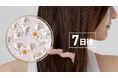 ヘアカラー後に実感するダメージのしくみを世界で初めて*¹解明