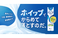 ブランド誕生20年の「ピュオーラ」から、口臭・歯周病*¹の原因菌をホイップ泡でからめて落とす『ピュオーラ　超密着ホイップハミガキ』新発売