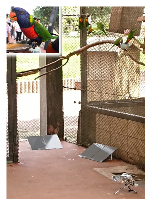 塗布するだけで付着せずにすべり落ちる表面を作り出す 新たなコーティング剤の技術を開発 花王株式会社広報部のプレスリリース