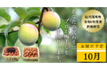 【6月6日は梅の日】SNSで話題の「梅仕事」、実は挫折者が急増中！？ 老舗の職人が“あなたの代わりに”梅を漬ける「令和8年度産新梅を使った梅干し作り代行サービス」を完全受注生産で開始
