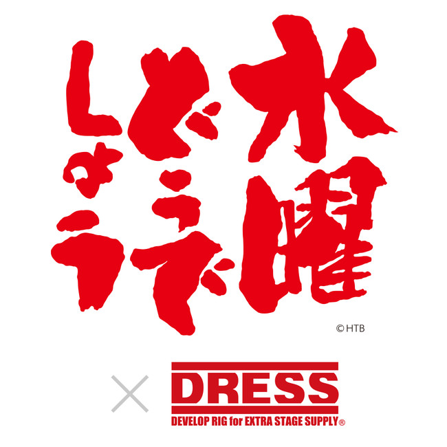 DRESS バッカン 水曜どうでしょう ロゴ 西表 Ｖｅｒ 2個セット