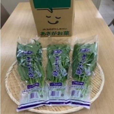 あさがお菜