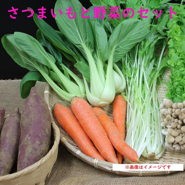 『さつまいもと野菜のセット』1,231円（税込）
