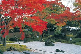 円通院(※イメージ)